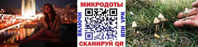 блэк спрут ссылка  хочу наркоту  Шебекино  Псилоцибиновые грибы MAGIC MUSHROOMS 